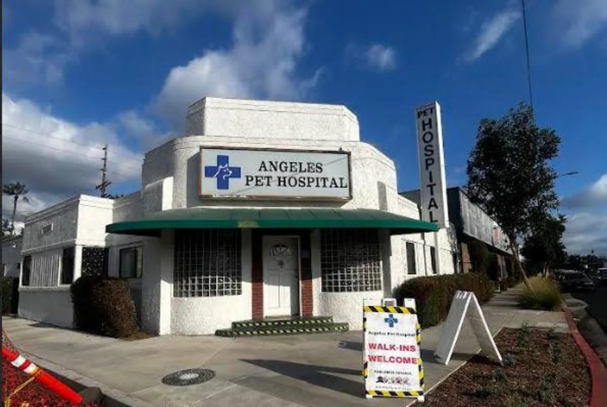 Front exterior of Angelus Pet Hospital clinic with the blue cross welcome sign